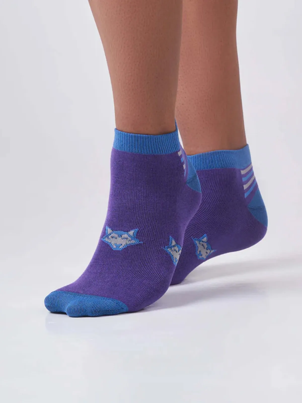 Classic Huskies - Purple / Blue