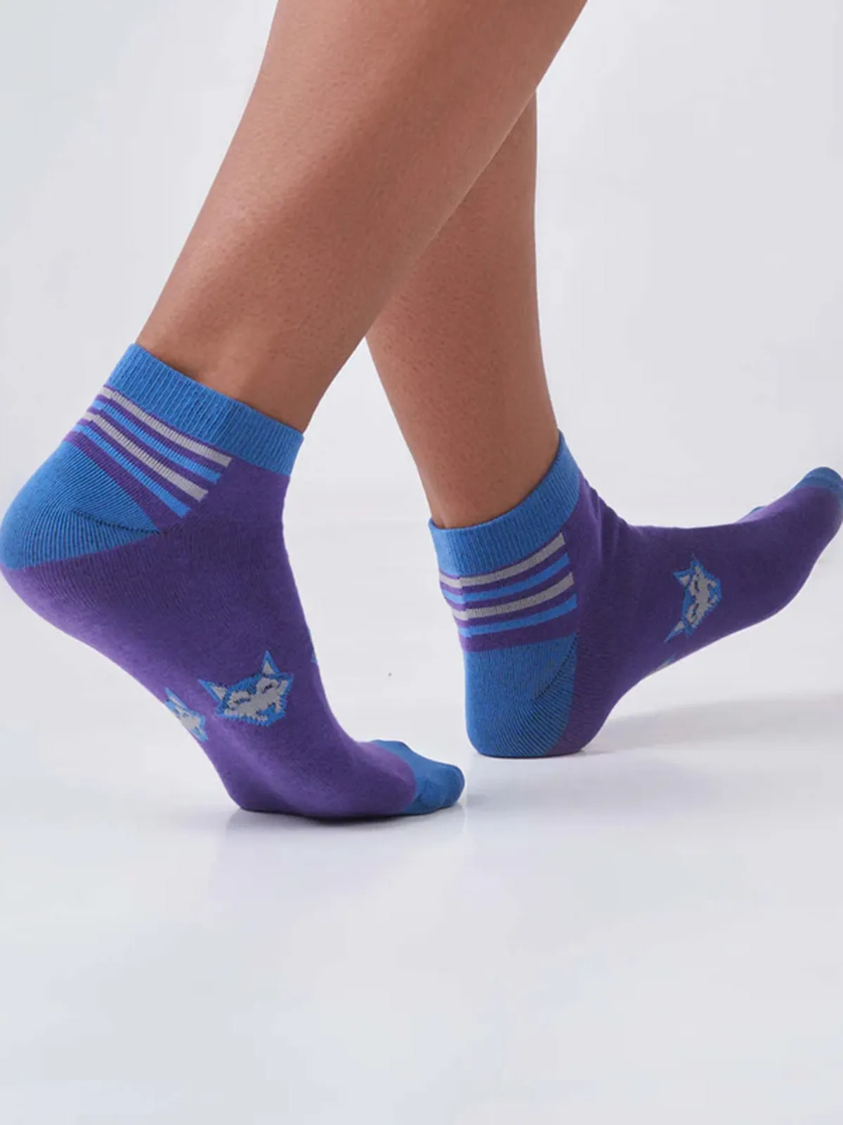 Classic Huskies - Purple / Blue
